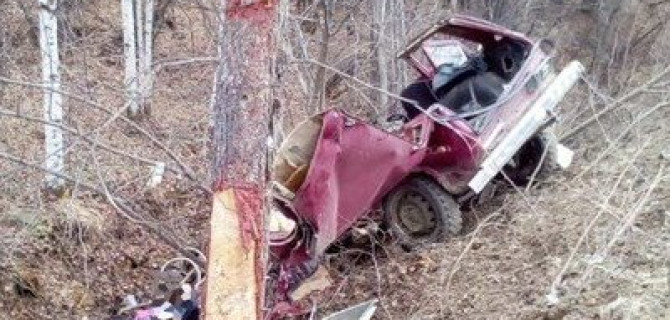 Под Тындой «Нива» врезалась в дерево – погибли двое
