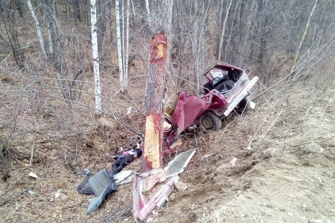 Под Тындой «Нива» врезалась в дерево – погибли двое