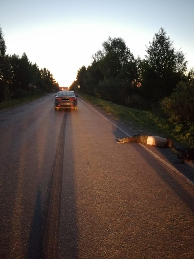 В Тверской области насмерть сбили мужчину (2)