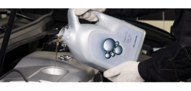 Масло в подарок для Вашего Lexus