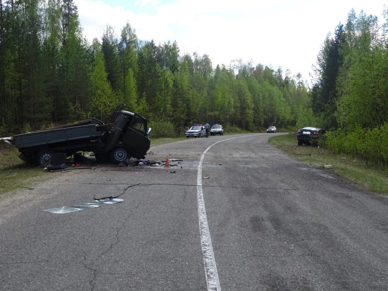 В ДТП в Коношском районе Архангельской области погибли два человека (2)