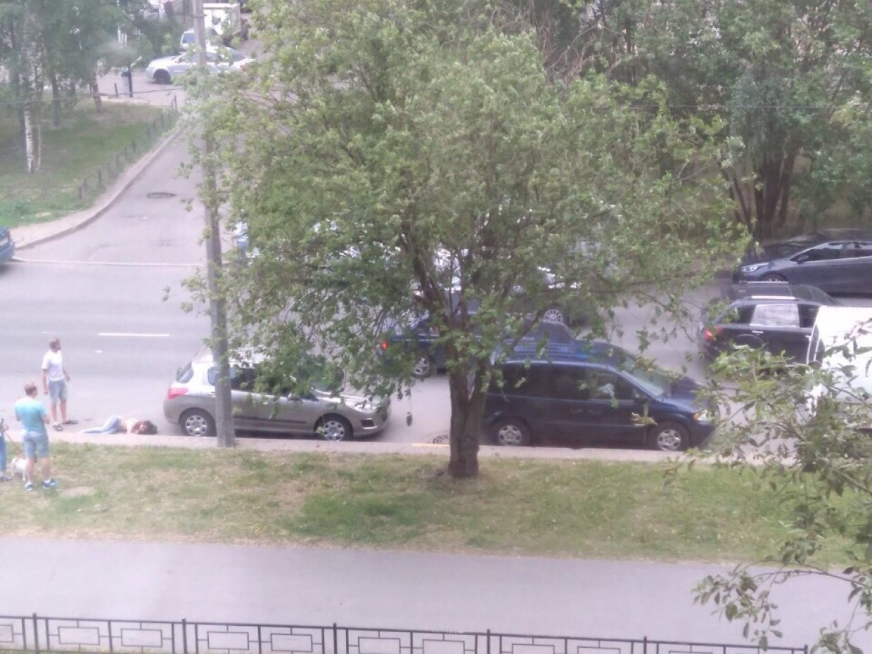 В Петербурге на Асафьева сбили девушку
