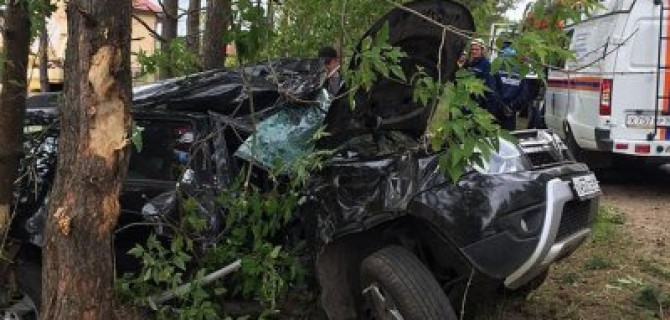 Два человека пострадали в ДТП с деревом под Тверью