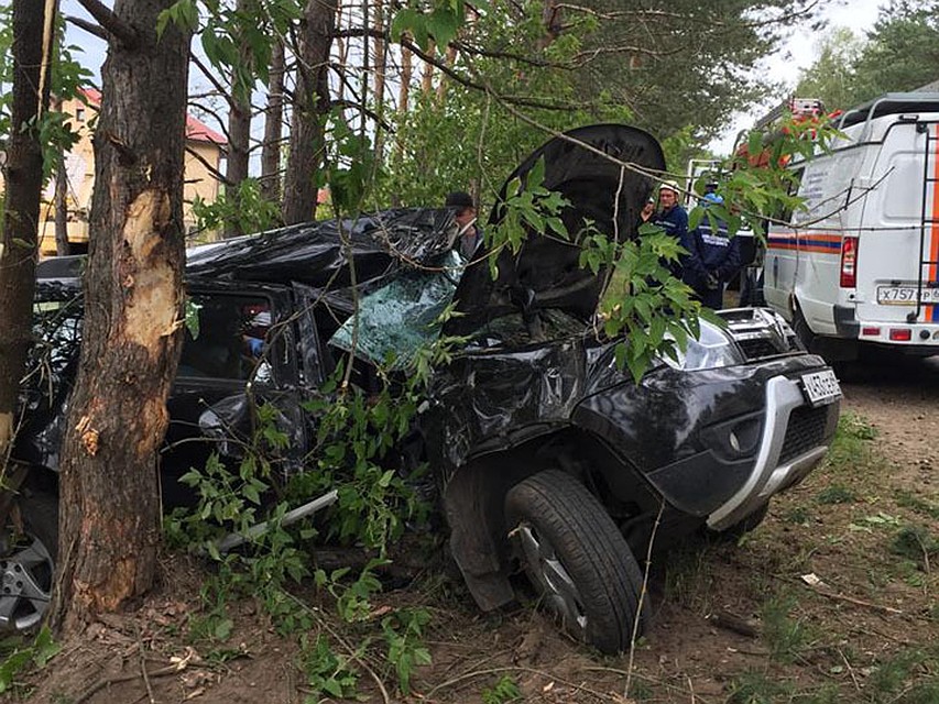 Два человека пострадали в ДТП с деревом под Тверью