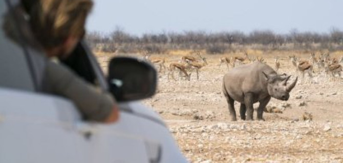 САФАРИ ЛЕТО В JAGUAR LAND ROVER "АВИЛОН"!
