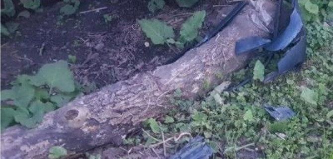 3-летний ребенок пострадал в ДТП под Тулой