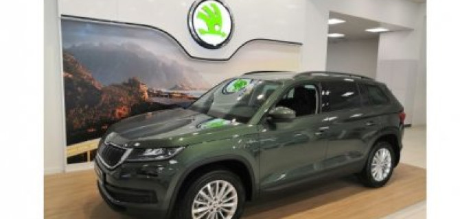 Вам нужен именно SKODA KODIAQ!
