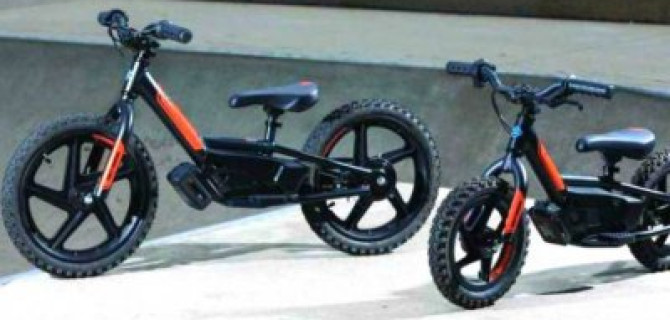 На «Харлей» - с младых ногтей