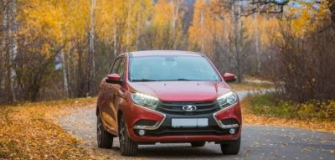 Ковер из листьев ведет в правильном направлении…в ТЕХИНКОМ