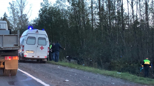 Водитель иномарки погиб в ДТП в Лужском районе