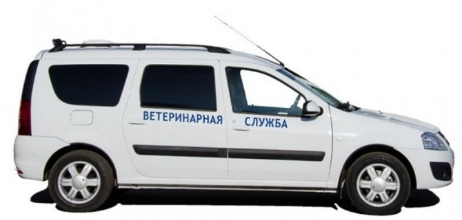 Lada Largus для Айболита