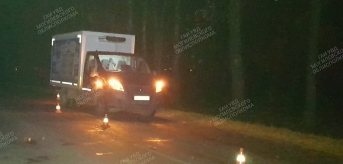 Под Могилевом "ГАЗель" переехала зачем-то легшую на темной дороге женщину