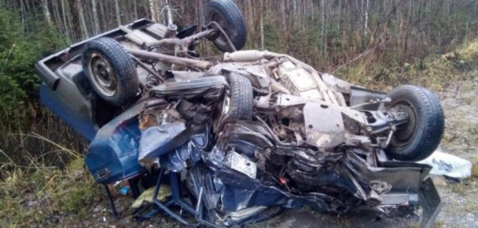 В ДТП под Вологдой погибли 3 человека, но выжили звери - питон, крокодил, морская свинка, кролик и ёж