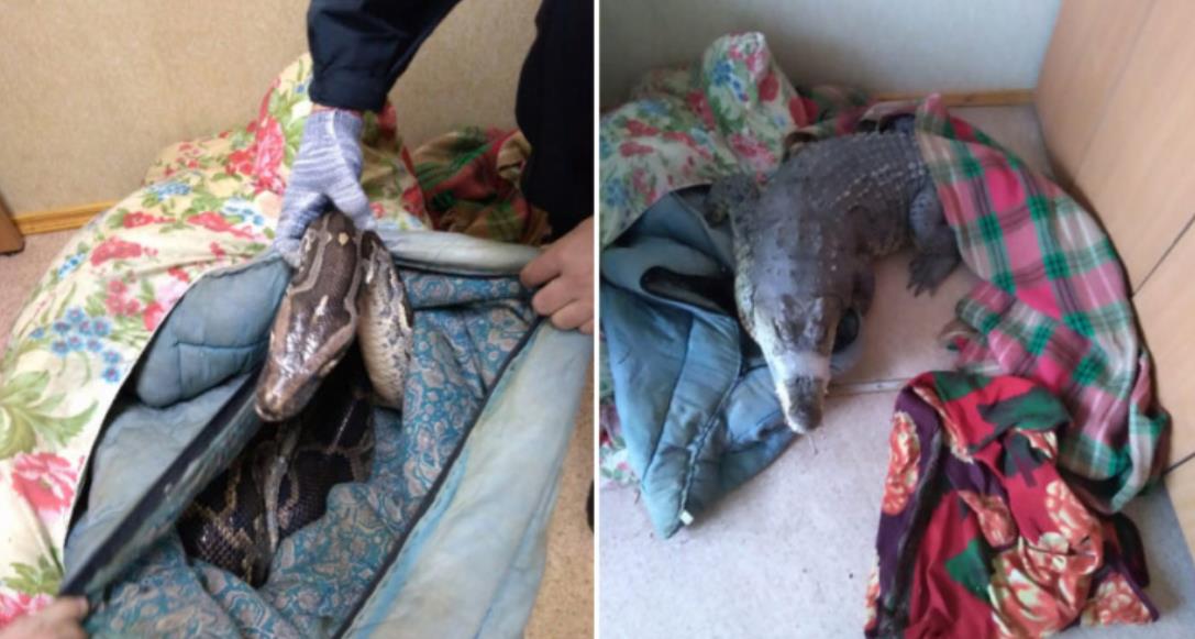 ДТП под Вологдой, 23 октября 4