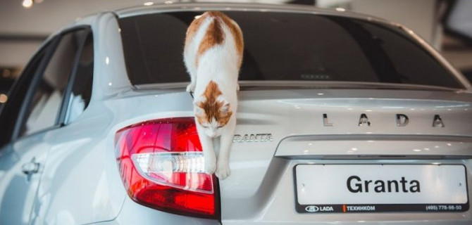 С днем рождения, ТЕХИНКОМ!