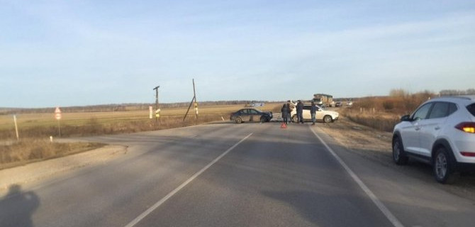 Двое детей пострадали в ДТП в Дубенском районе