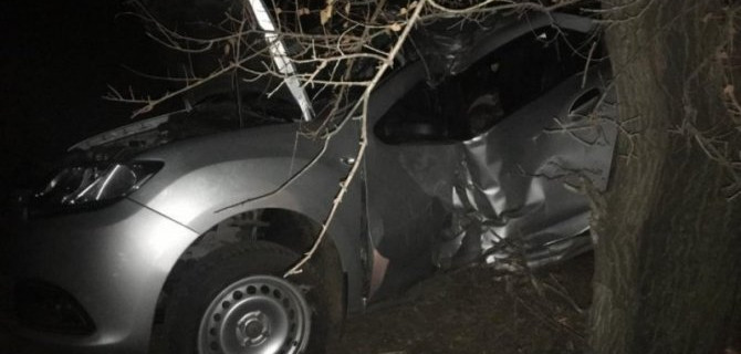 В Энгельсском районе иномарка врезалась в дерево – погиб пассажир