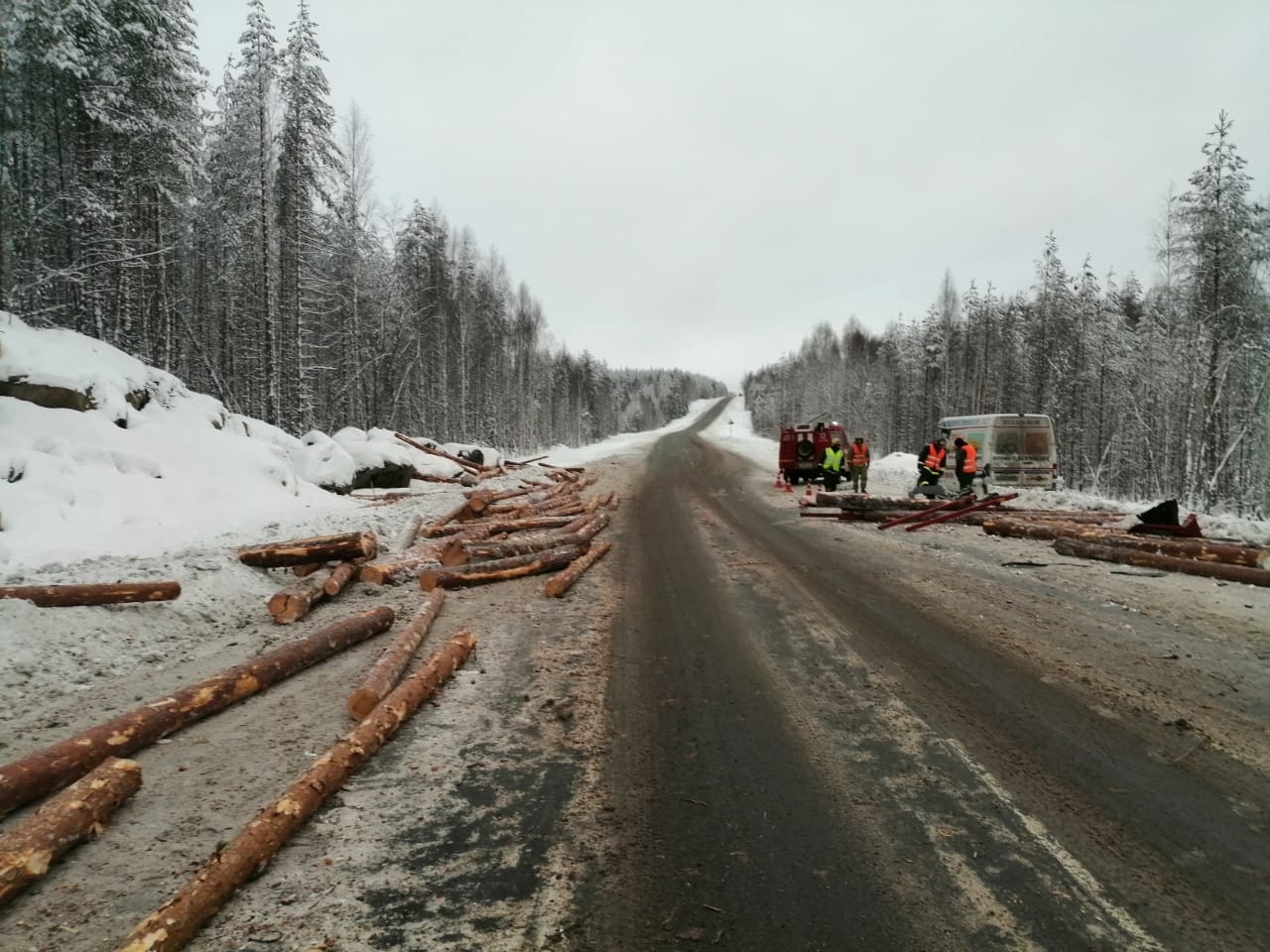 В ДТП с лесовозом в Карелии погиб человек (3)