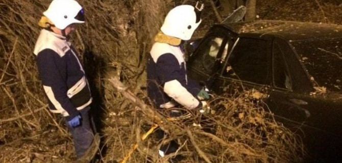 На Кубани «Приора» врезалась в дерево – погибли два человека