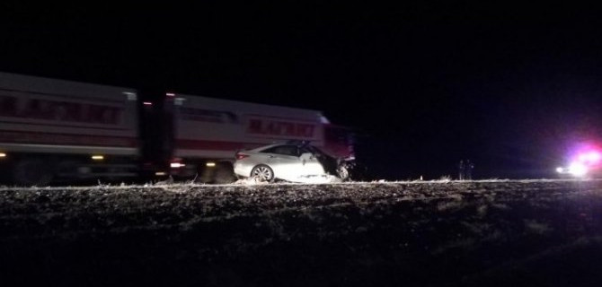 Молодой водитель погиб в ДТП из-за свиньи