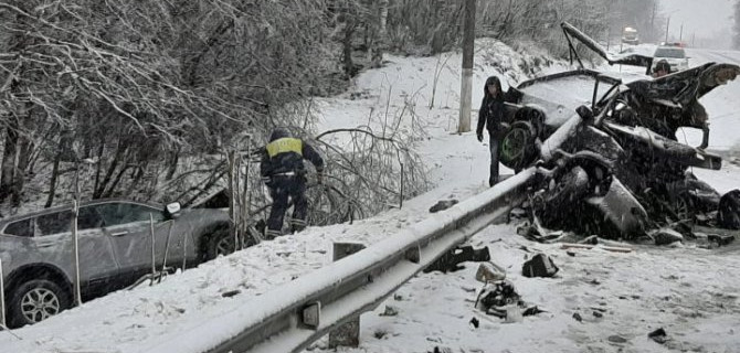 В ДТП с лесовозом в Ленобласти погибли два человека