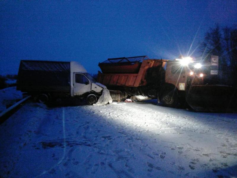 Водитель «Газели» и тракторист погибли в ДТП в Новосибирской области (3)