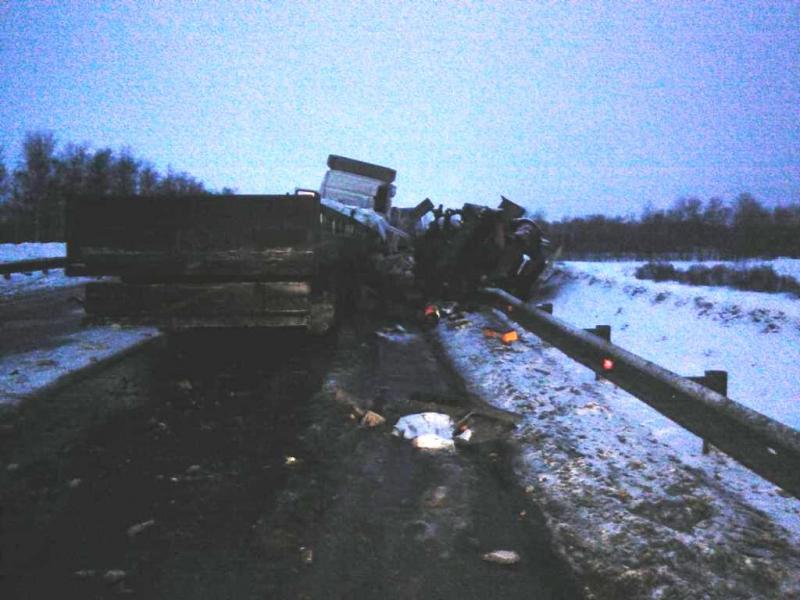 Водитель «Газели» и тракторист погибли в ДТП в Новосибирской области (1)