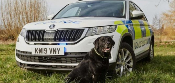 Skoda Kodiaq получил модификацию для полицейских-кинологов