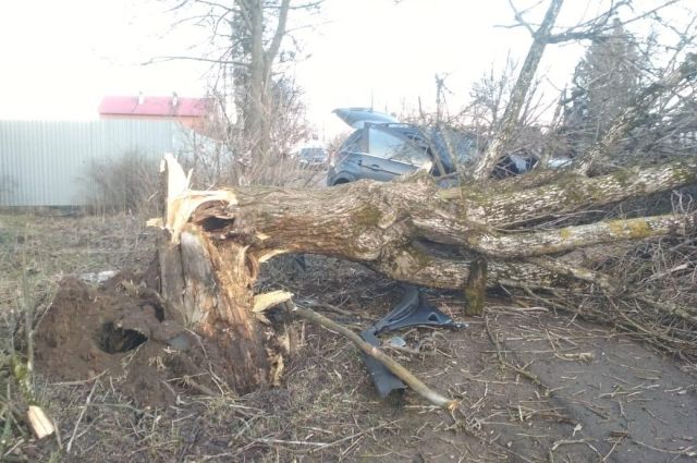 В ДТП в Тверской области погибли оба водителя (1)