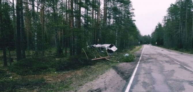 17-летний водитель погиб в ДТП в Ленобласти