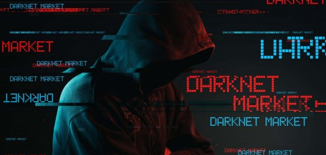 В «Даркнете» выложена база данных о российских автомобилистах