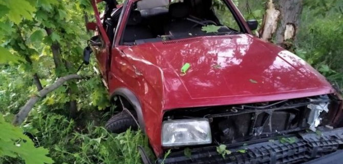 Трое детей пострадали в ДТП в Воронежской области