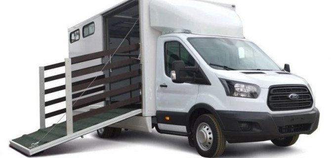 Ford Transit стал коневозом