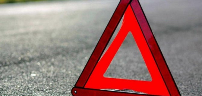 В ДТП с кабаном в Татарстане погибла девушка