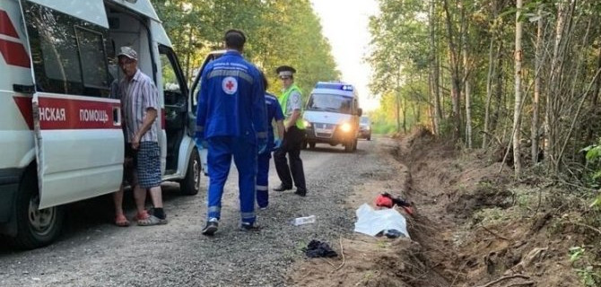 В Ленобласти насмерть сбили ребенка