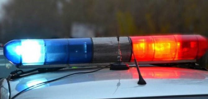 Молодая женщина погибла в ДТП с лосем в Алтайском крае