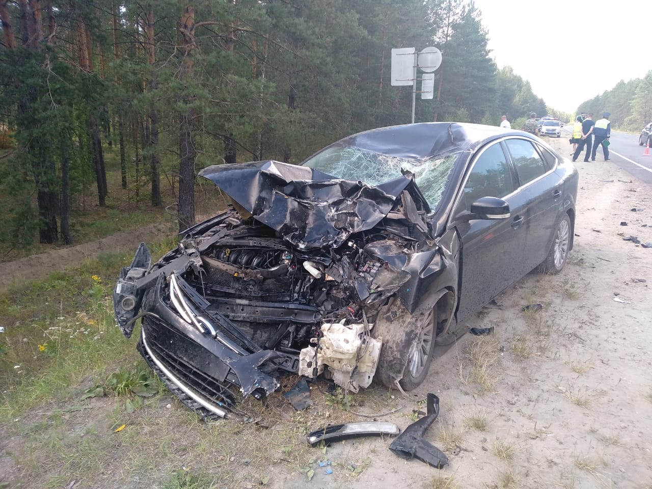 Мотоциклист погиб в ДТП в Марий Эл (2)