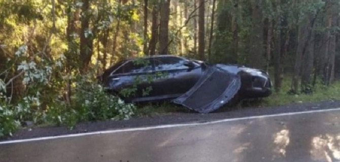 Под Выборгом иномарка врезалась в дерево – погиб водитель