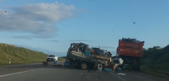 Машина с пчелами попала в ДТП в Приморском крае – погиб человек