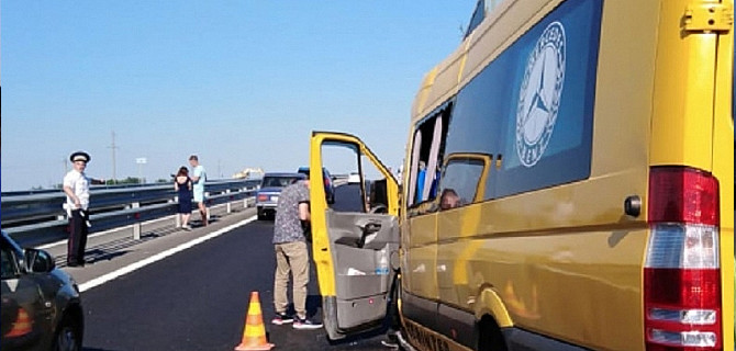 Во время ДТП в Крыму, где погибло 9 человек, выжила собака, которая ждёт хозяев