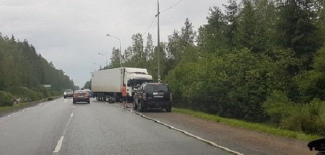 Водитель иномарки погиб в ДТП в Лужском районе Ленобласти