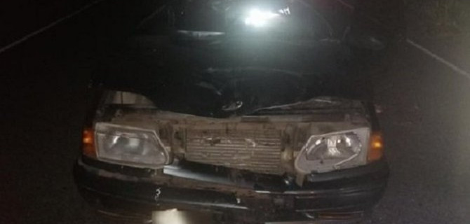 В ДТП с лосем в Тверской области погиб человек