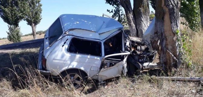 Под Воронежем «Нива» врезалась в дерево – водитель погиб