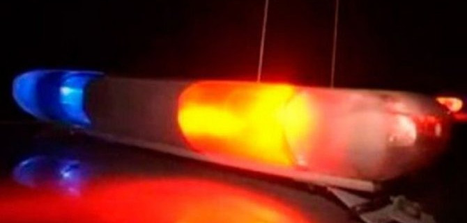 Четыре человека погибли в ДТП с лосем в Псковской области