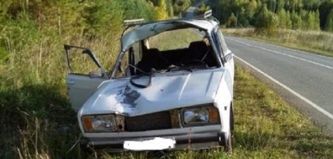 В Пермском крае в ДТП с лосем пострадали два человека