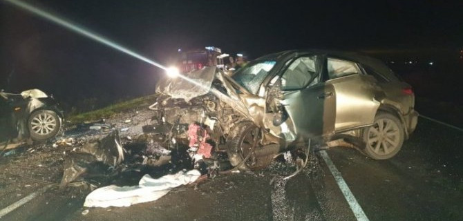 Под Тюменью четыре человека погибли в ДТП из-за кабана