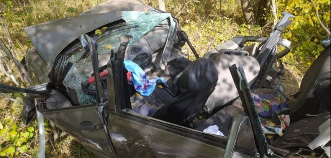 Два человека погибли при опрокидывании автомобиля в Марий Эл