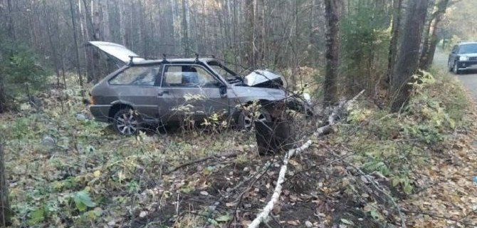 В Ижевске пьяный водитель врезался в дерево – пострадали трое