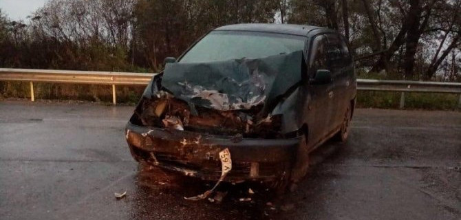 Мотоциклист без прав пострадал в ДТП в Тверской области