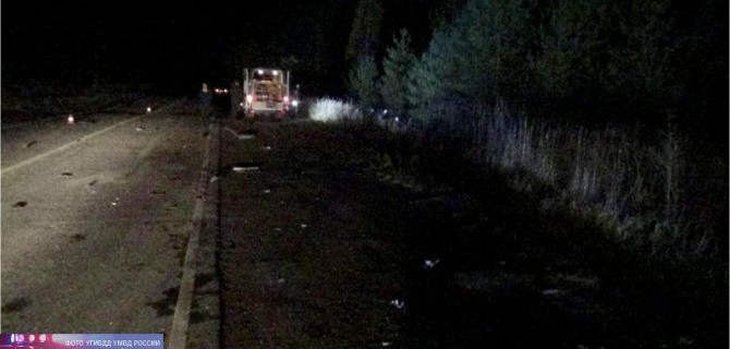 В ДТП с лошадью в Ивановской области погибла женщина